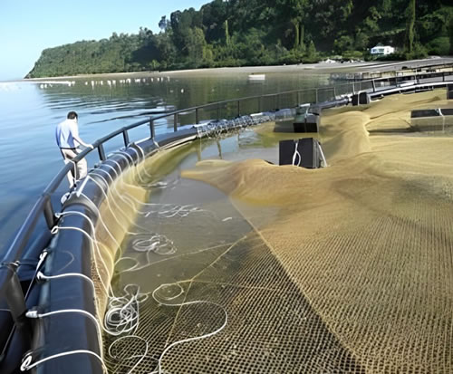 redes de pesca com infusão de cobre